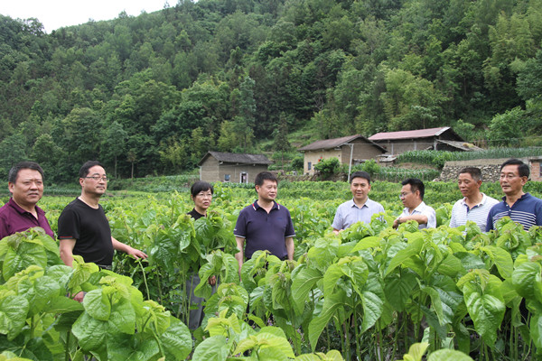 安康市商務局領(lǐng)導來我公司調(diào)研春蠶收購及扶貧點蠶?；亟ㄔO情況